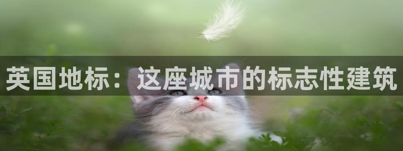 谈球吧官网在线入口免费观看高清