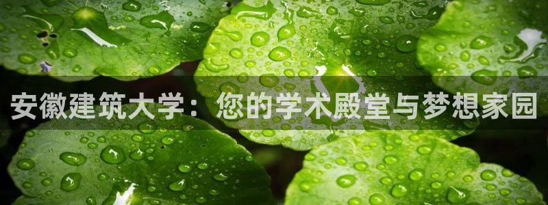 谈球吧红包激活码
