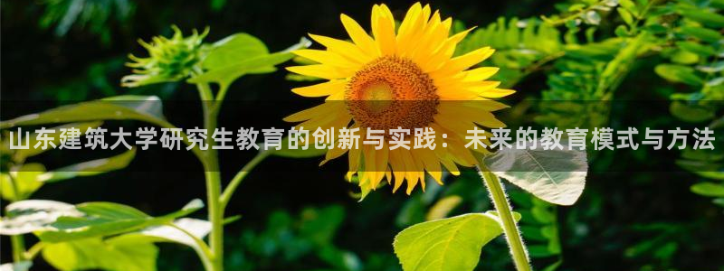 谈球吧怎么样