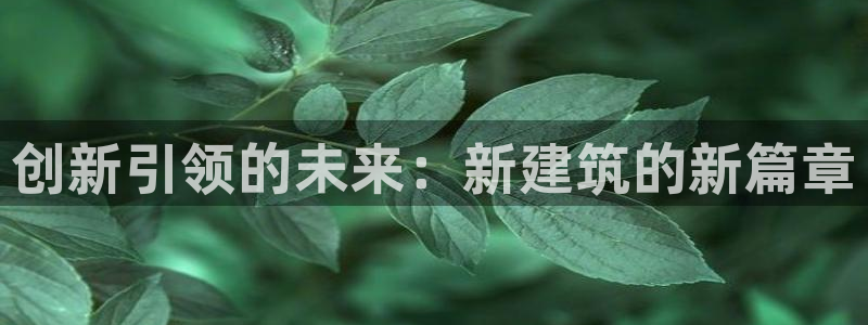 谈球吧官网在线入口手机版免费下载