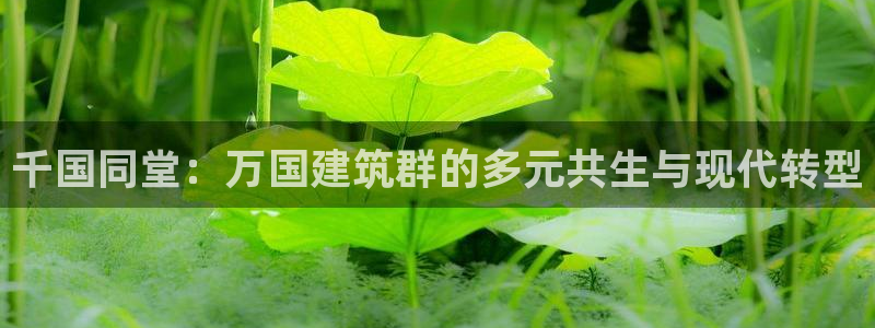 谈球吧中国官方网站