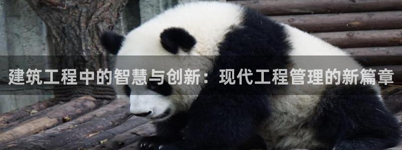 谈球吧体育综合台：建筑工程中的智慧与创新：现代工程管理的新篇章