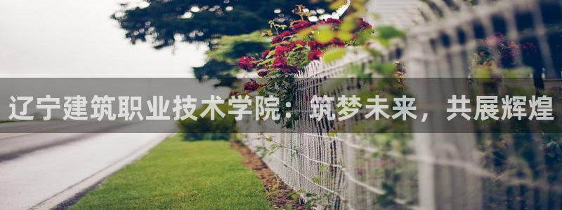 谈球吧app官网下载安卓
