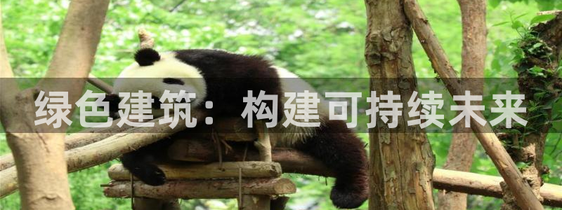 谈球吧体育app下载官网安卓