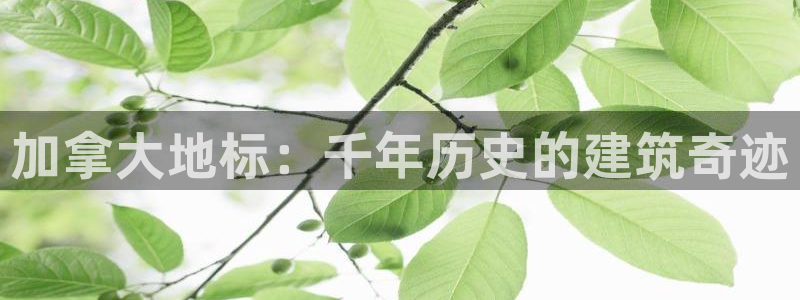 谈球吧中国官方网站：加拿大地标：千年历史的建筑奇迹