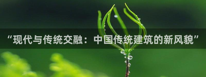 谈球吧体育综合