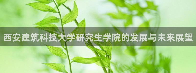 谈球吧算违法行为吗为什么