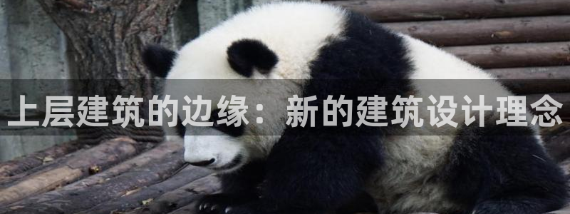谈球吧可靠吗