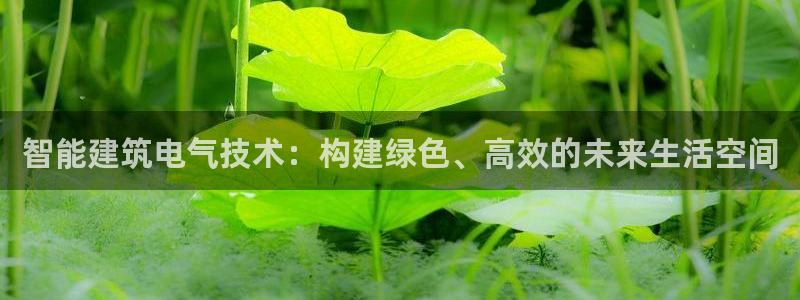 谈球吧电子app