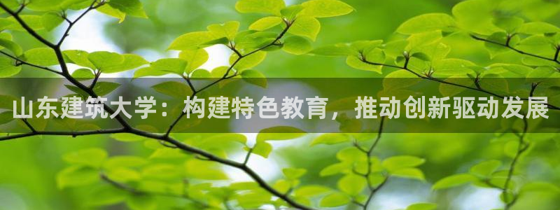 谈球吧体育app登陆不了
