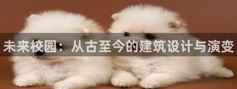 谈球吧网址：未来校园：从古至今的建筑设计与演变