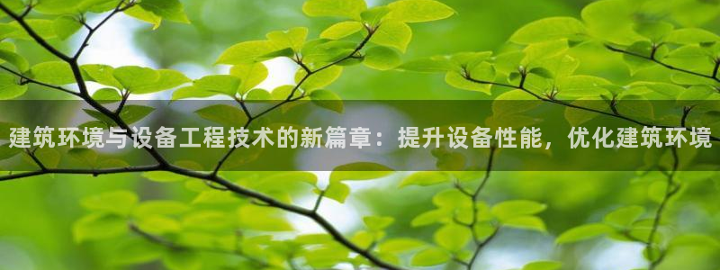 谈球吧体育官网入口