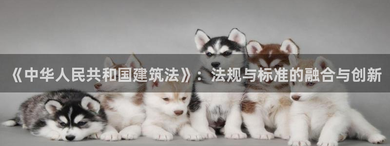 谈球吧app在哪里下载