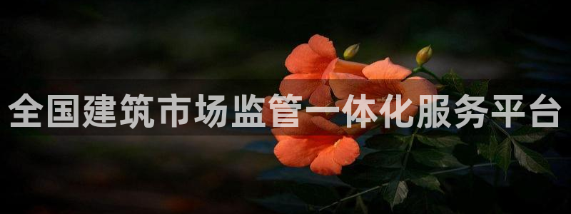 谈球吧网页登陆