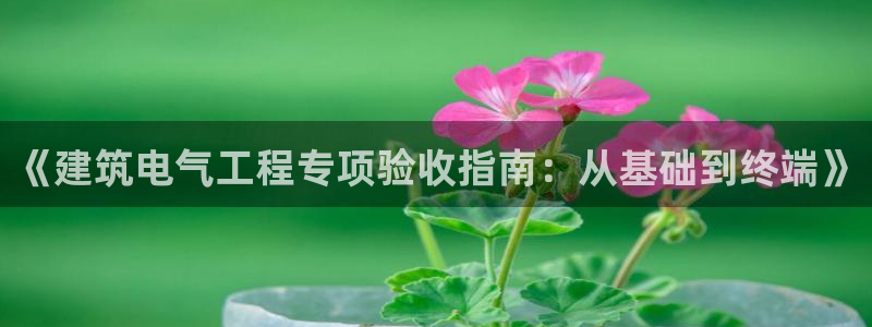 谈球吧体育app下载足球直播软件
