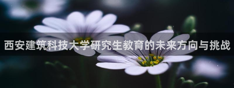 谈球吧平台正规吗可靠吗安全吗