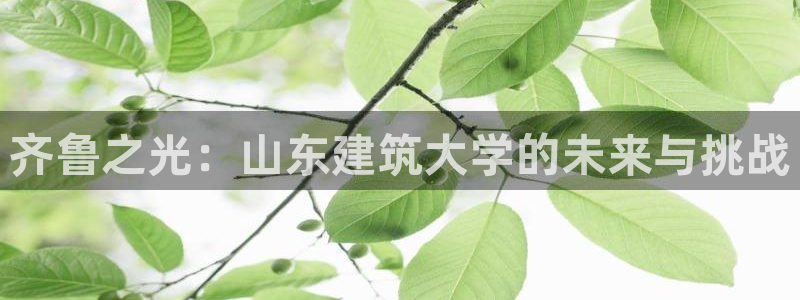 谈球吧APP