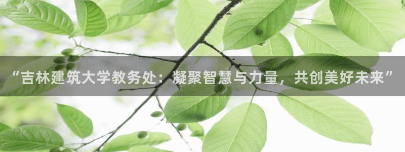 谈球吧官网在线入口手机版
