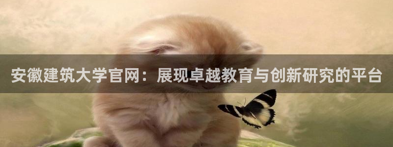 谈球吧网app官网下载