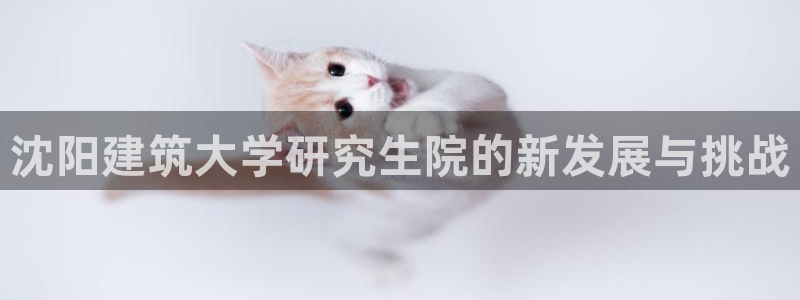 谈球吧体育app下载中心官网苹果