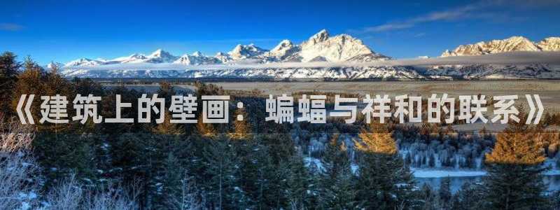 谈球吧app赛事分析报告