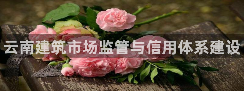 谈球吧app体育下载官网