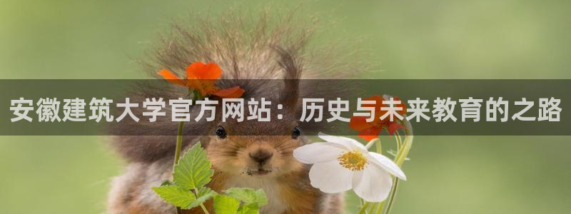 谈球吧官网在线入口手机版下载安装