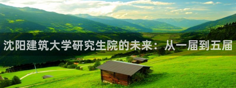 谈球吧与普通平台对比