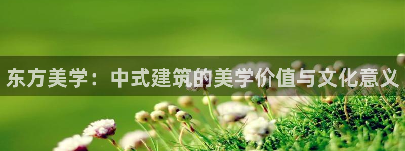 谈球吧体育app下载足球比赛视频