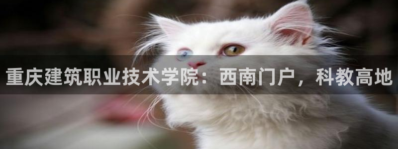 谈球吧是黑台子吗是真的吗