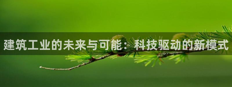 谈球吧体育官网在线入口免费观看