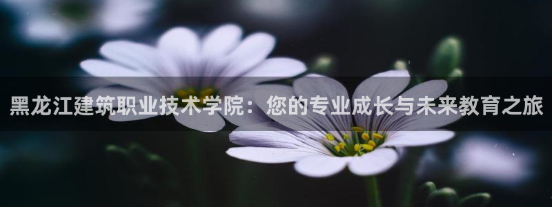 谈球吧体育app登陆不了
