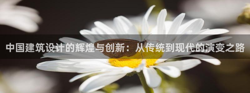 谈球吧体育app官网下载：中国建筑设计的辉煌与创新：从传统到现代的演变之路