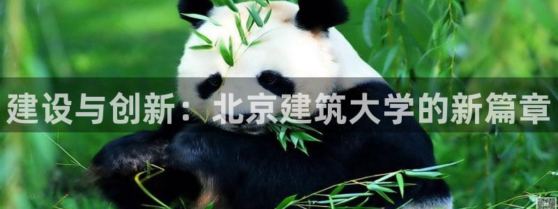 谈球吧网页登录