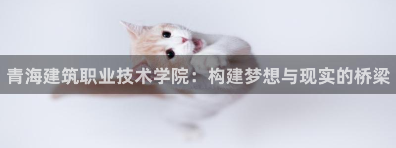 谈球吧