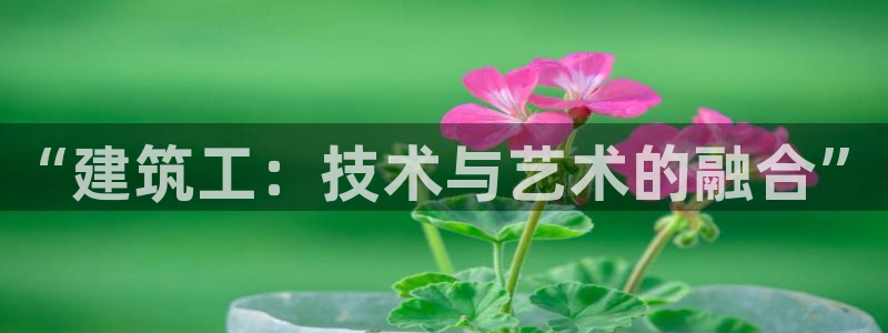 谈球吧网页版在线入口