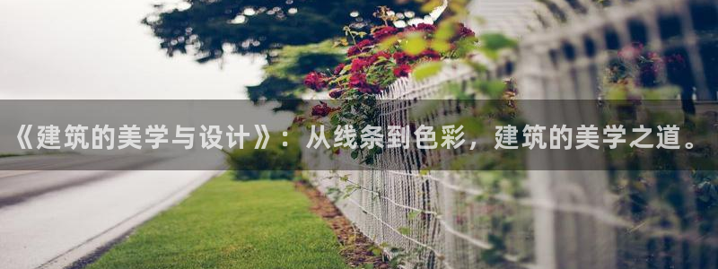 谈球吧体育app下载官网手机版苹果