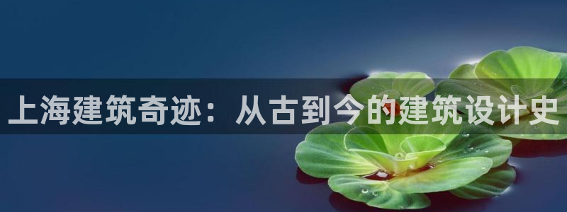 谈球吧在线登录免费观看