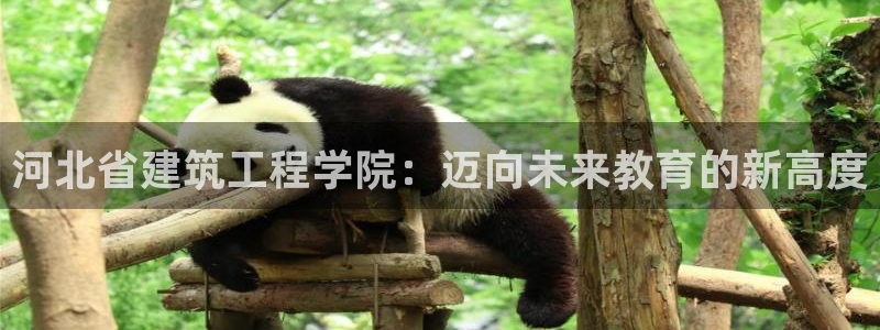 谈球吧的聊天软件叫什么