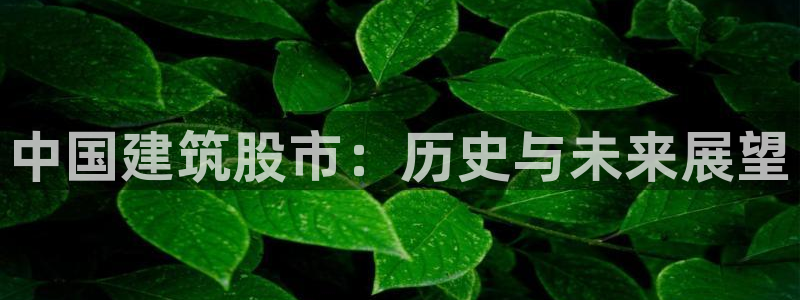 谈球吧买球是正规的吗