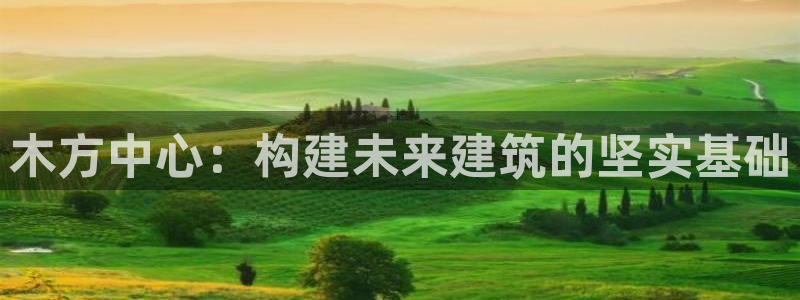 谈球吧全站app下载手机版