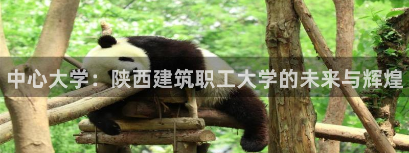 谈球吧体育app下载官网苹果手机