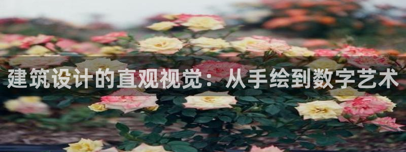 谈球吧官网在线入口免费观看