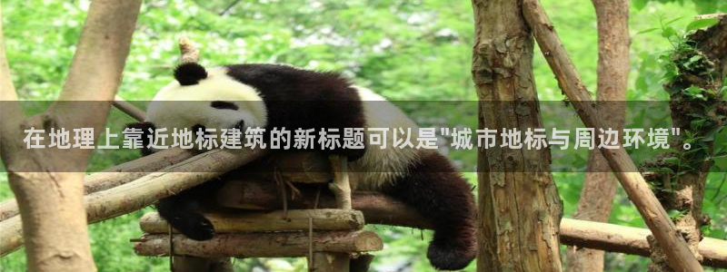 谈球吧体育官方入口