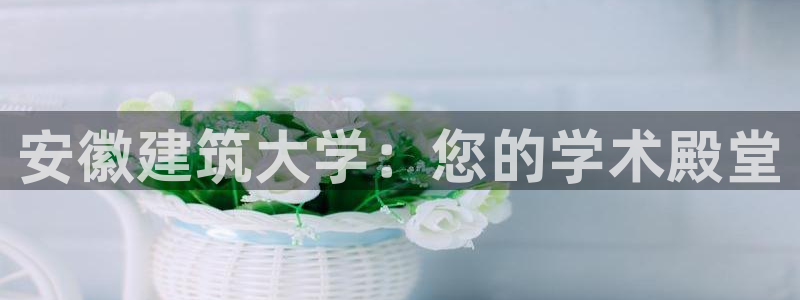 谈球吧官网在线入口免费观看高清版